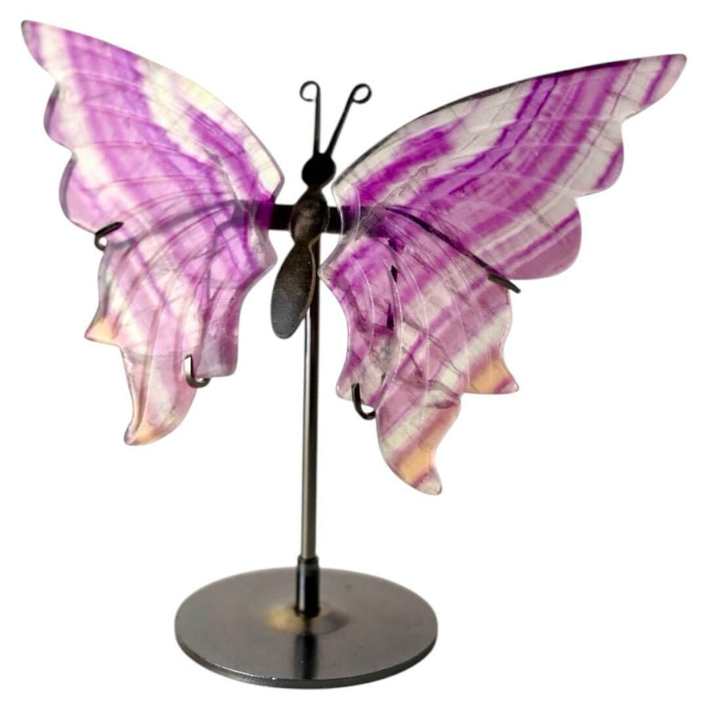 Wunderschöner Schmetterling mit Fluorit-Flügeln