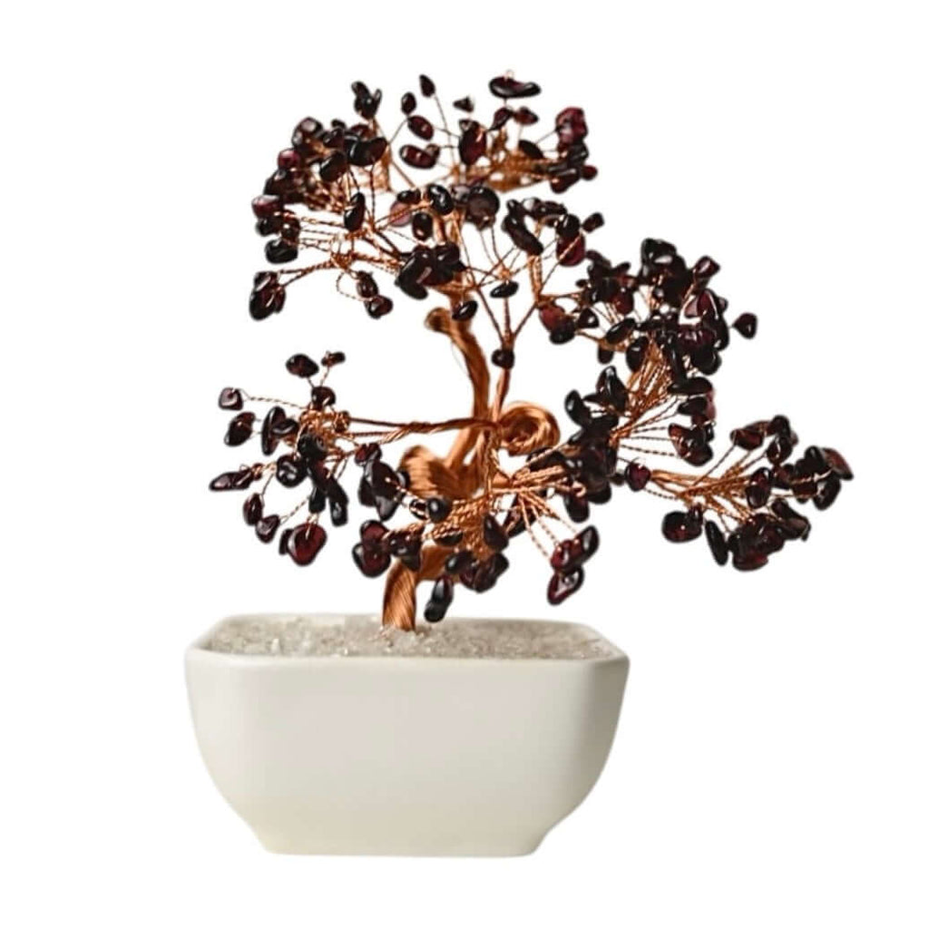 Granat Baum in Keramiktopf - Lebendige Kraft