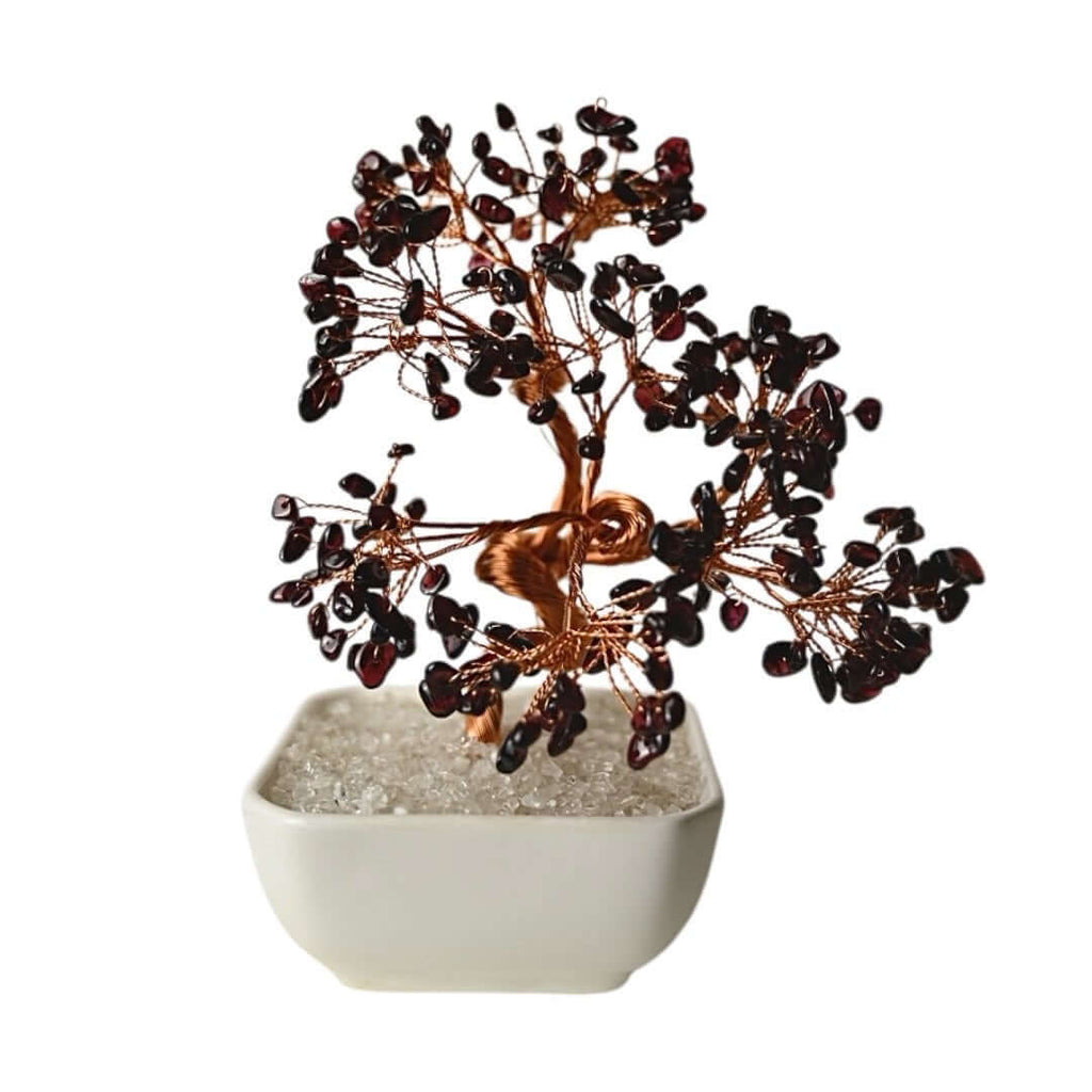 Granat Baum in Keramiktopf - Lebendige Kraft