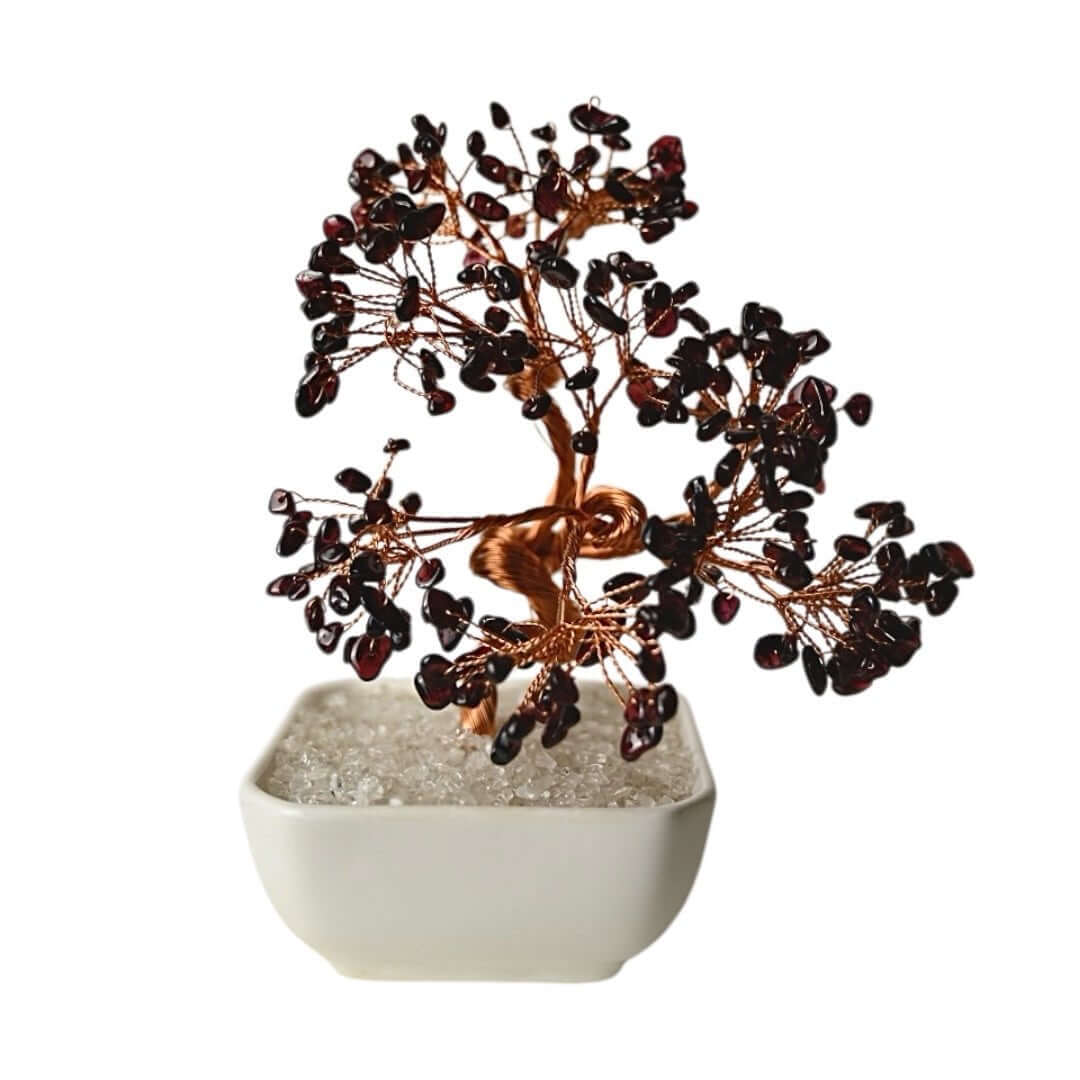 Granat Baum in Keramiktopf - Lebendige Kraft