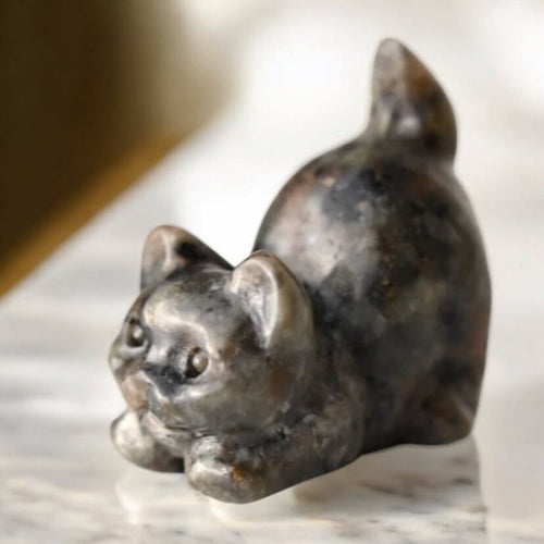 Labradorit Katze – Schillernde Farbreflexe