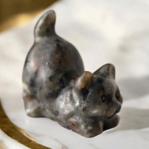 Labradorit Katze – Schillernde Farbreflexe