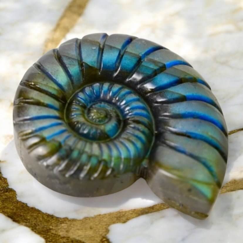 Mystischer Labradorit Nautilus – Verbindung von Natur und Eleganz
