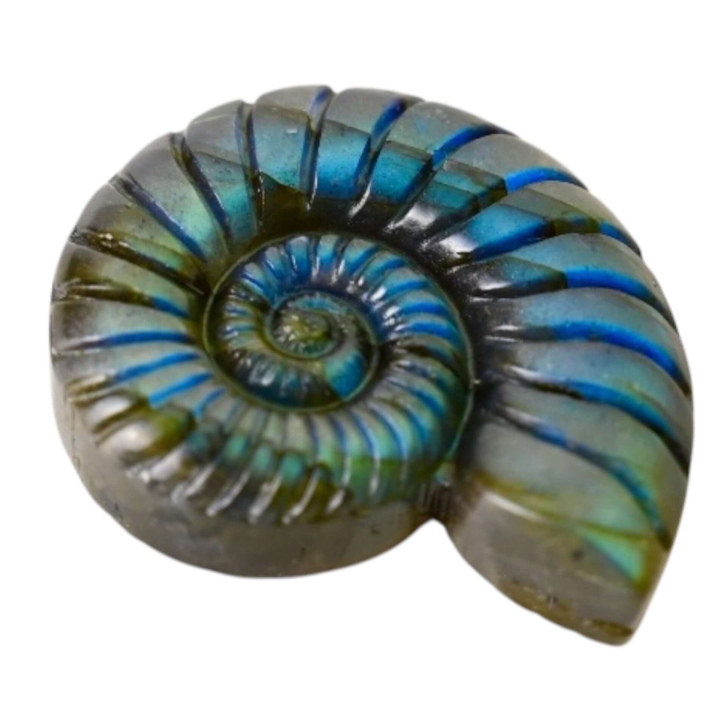 Mystischer Labradorit Nautilus – Verbindung von Natur und Eleganz