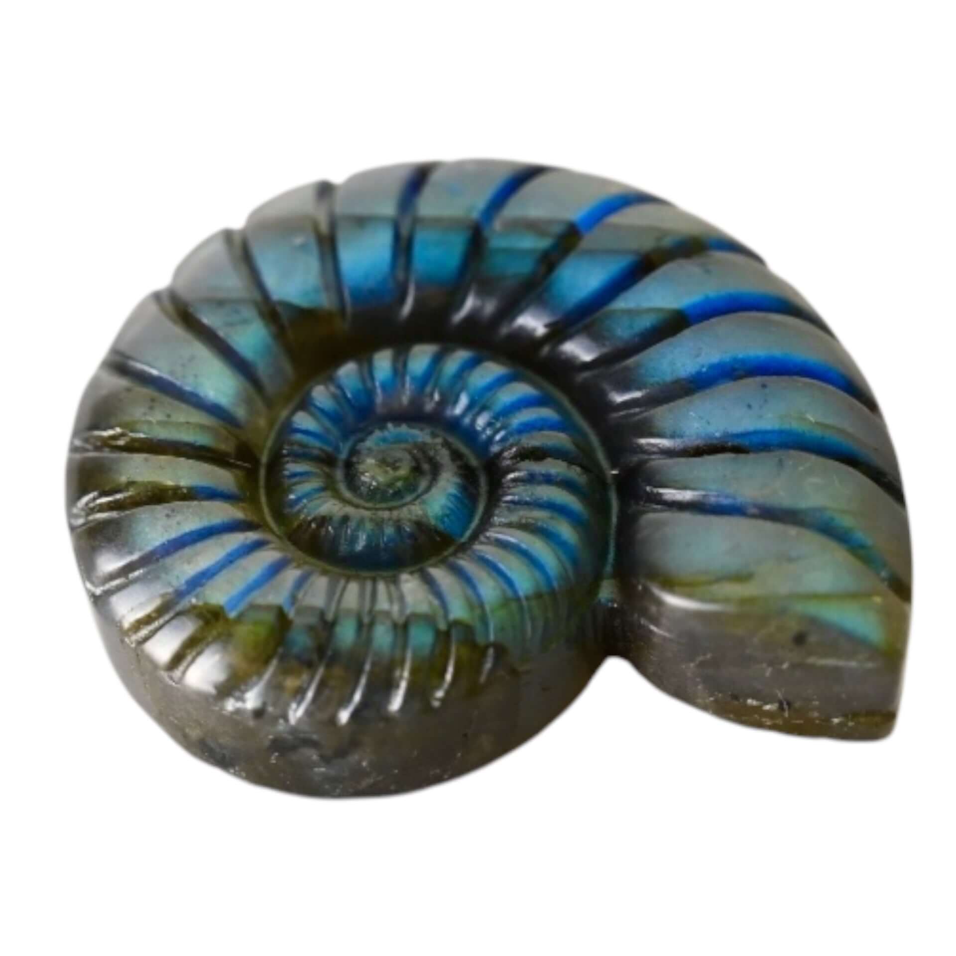 Mystischer Labradorit Nautilus – Verbindung von Natur und Eleganz