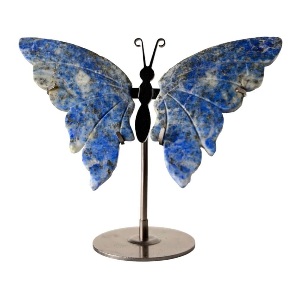 Wunderschöner Schmetterling mit Lapislazuli-Flügeln