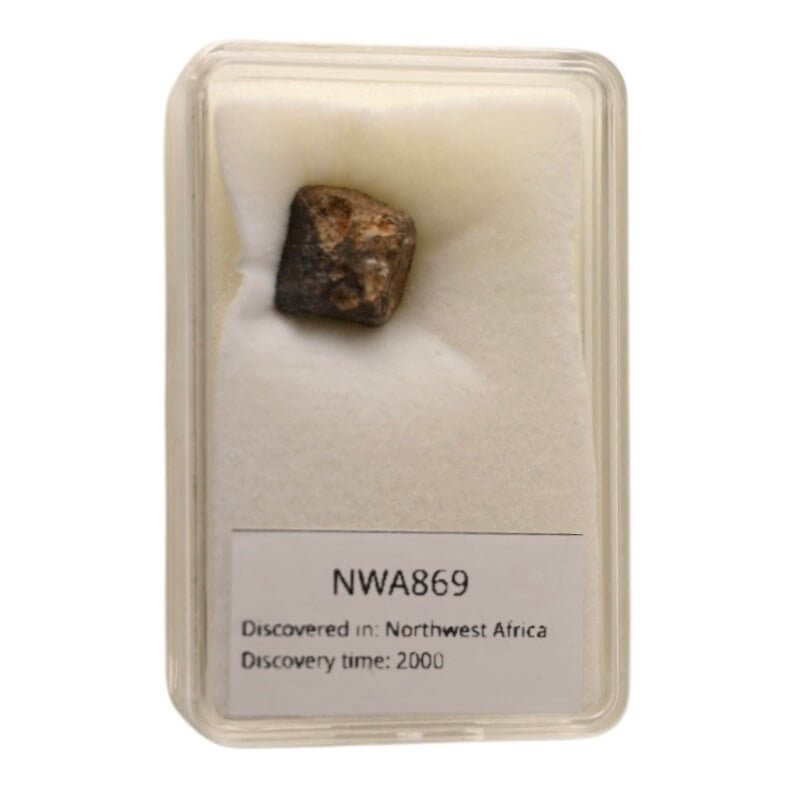 Meteorit „Nordwest-Afrika“