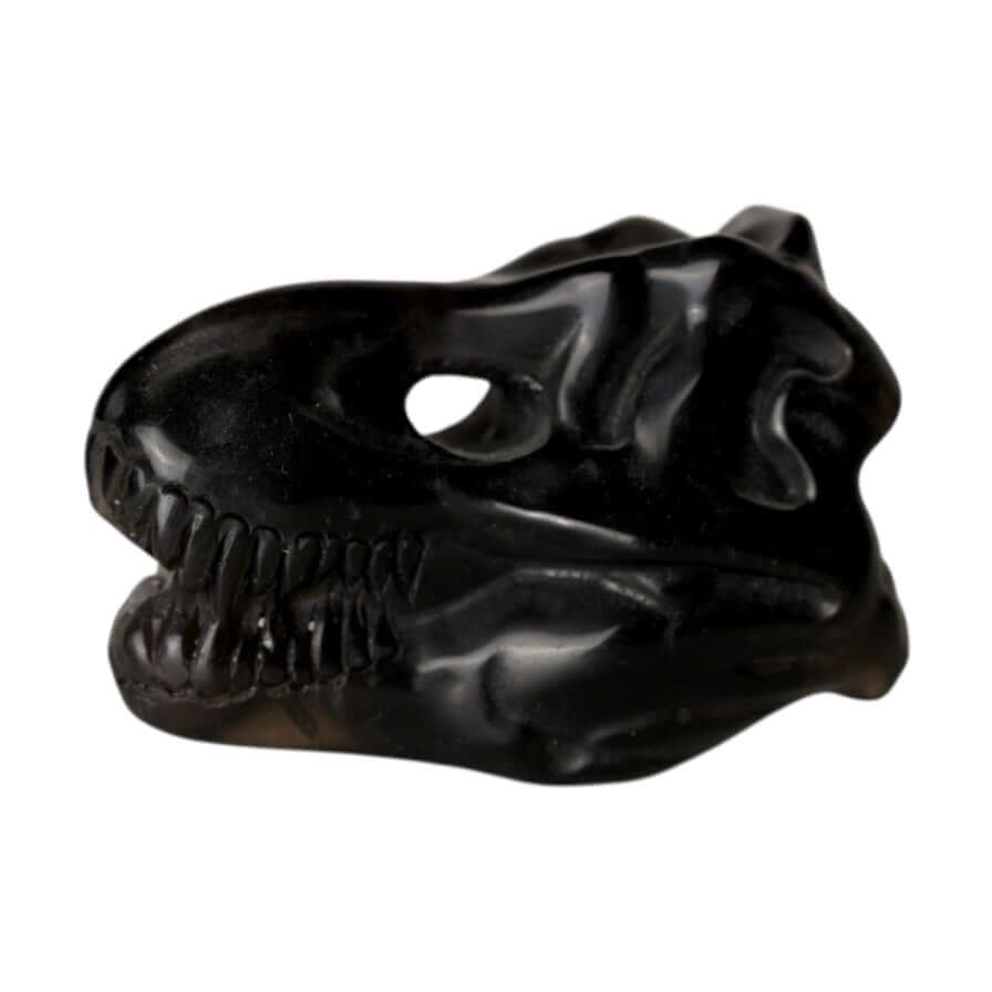 T-Rex Kopf aus Obsidian – Ausdrucksstarkes Kristallobjekt voller Energie