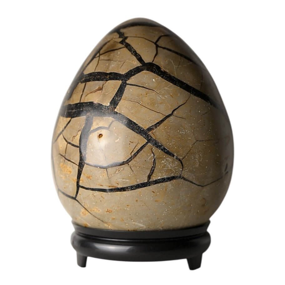 Riesiges Septarian Ei – Majestätisches Naturjuwel mit eindrucksvollen Drusen