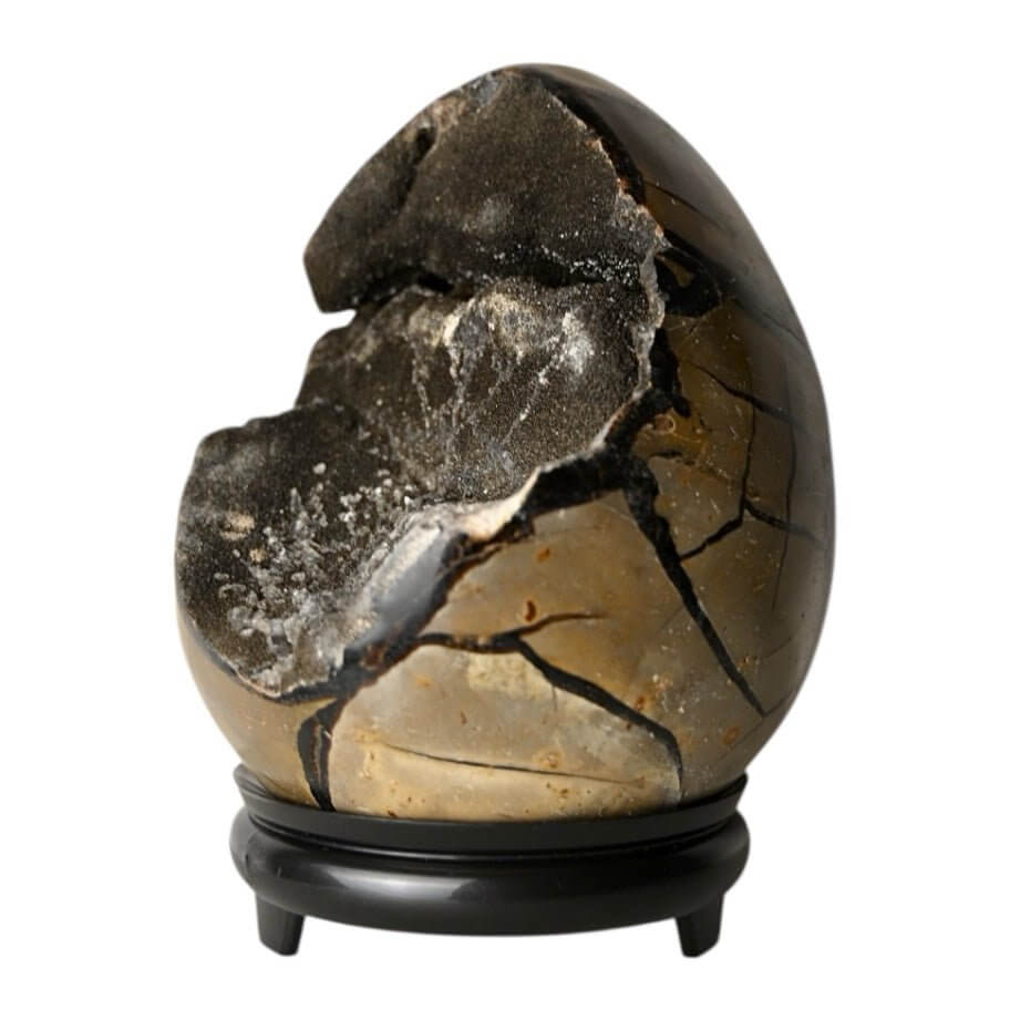 Riesiges Septarian Ei – Majestätisches Naturjuwel mit eindrucksvollen Drusen