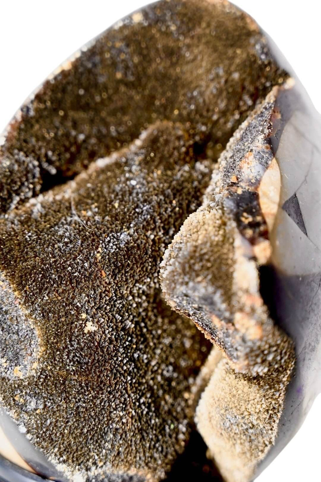 Großes Septarian Ei – Schwarze Drusen mit funkelnder Kristallstruktur