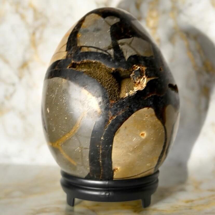 Großes Septarian Ei – Schwarze Drusen mit funkelnder Kristallstruktur