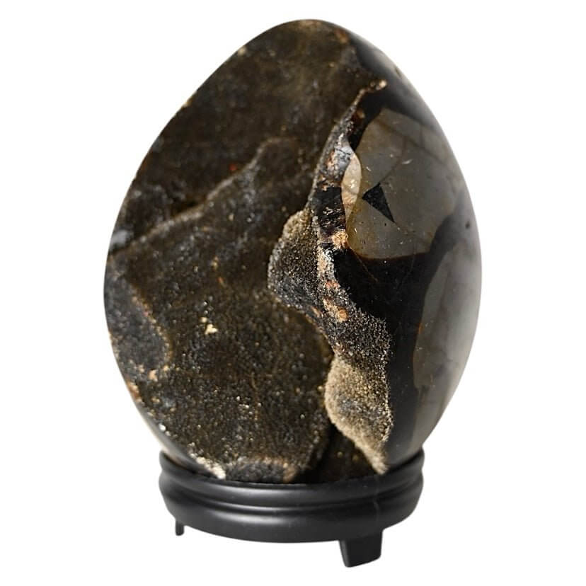 Großes Septarian Ei – Schwarze Drusen mit funkelnder Kristallstruktur