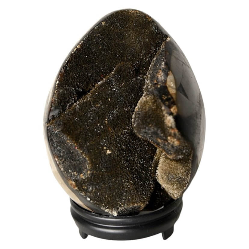 Großes Septarian Ei – Schwarze Drusen mit funkelnder Kristallstruktur