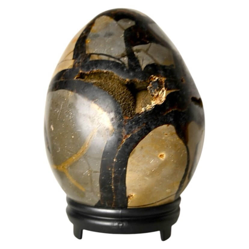 Großes Septarian Ei – Schwarze Drusen mit funkelnder Kristallstruktur