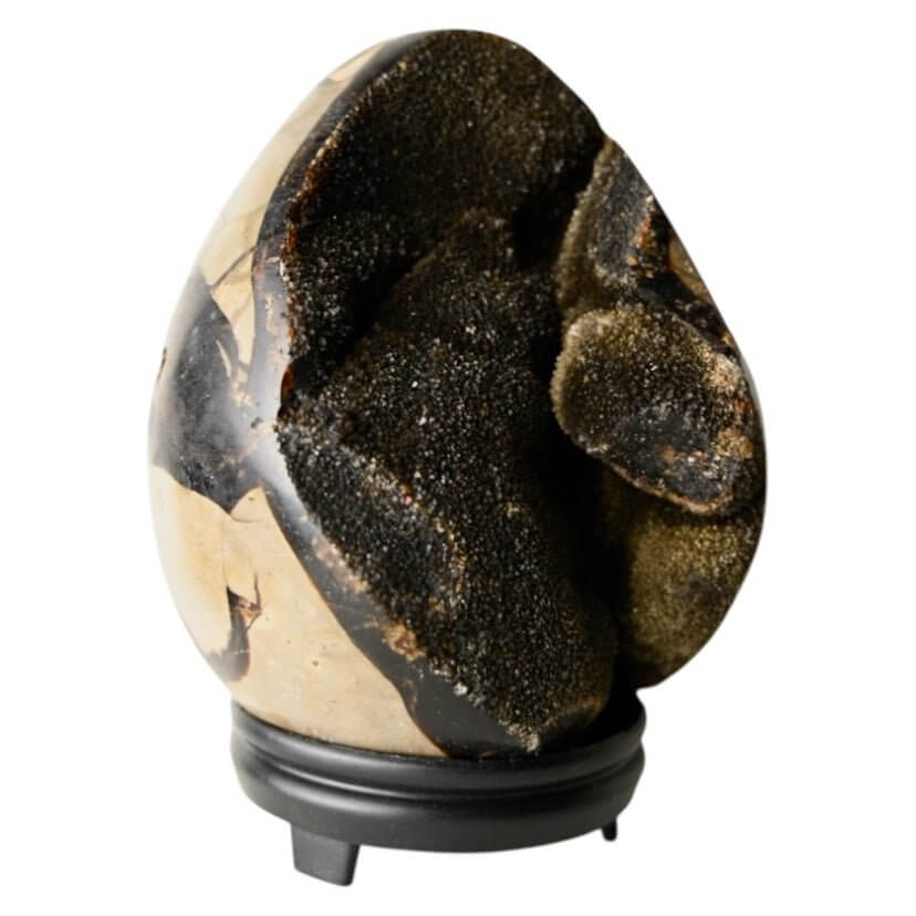 Großes Septarian Ei – Schwarze Drusen mit funkelnder Kristallstruktur