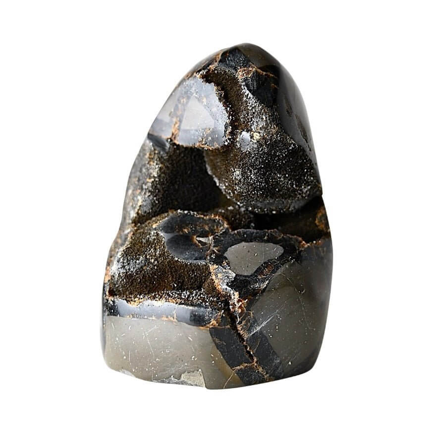 Große Septarian-Freiform – faszinierender Stein für Erdung, Schutz und energetische Zentrierung