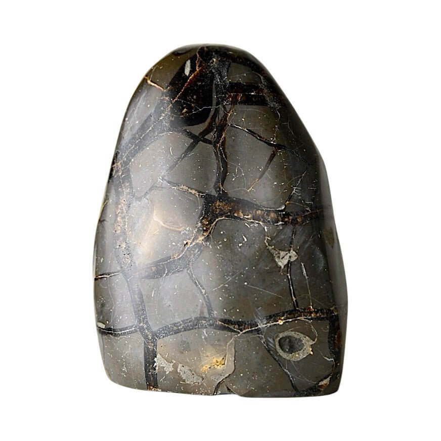 Große Septarian-Freiform – faszinierender Stein für Erdung, Schutz und energetische Zentrierung