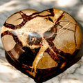 Septarian Herz – natürlich geformter Edelstein für Ausgeglichenheit