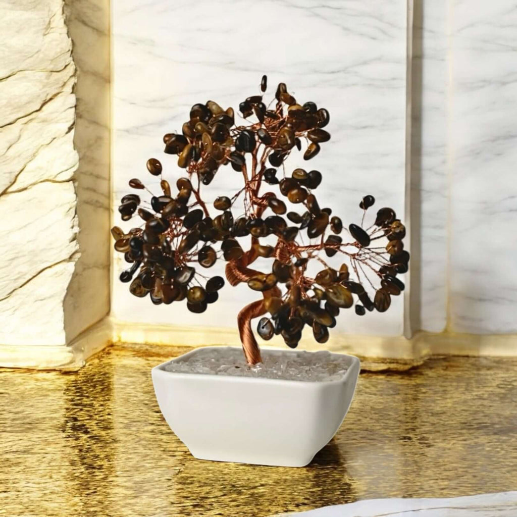 Tigerauge Baum in Keramiktopf - Bringt Mut, Gelassenheit und positive Schwingungen