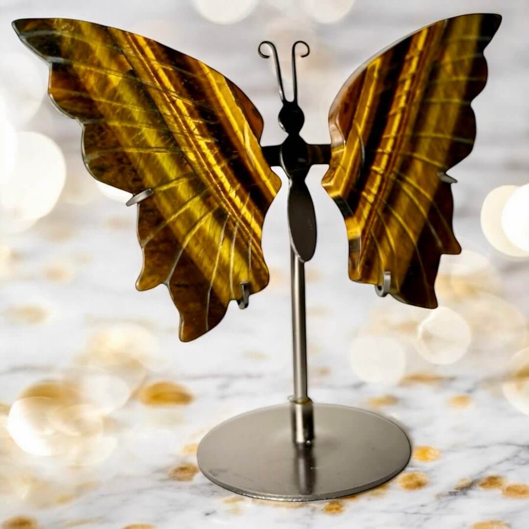 Wunderschöner Schmetterling mit Tigeraugen-Flügeln