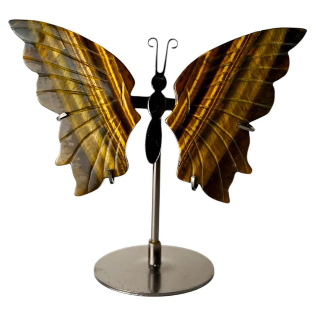 Wunderschöner Schmetterling mit Tigeraugen-Flügeln