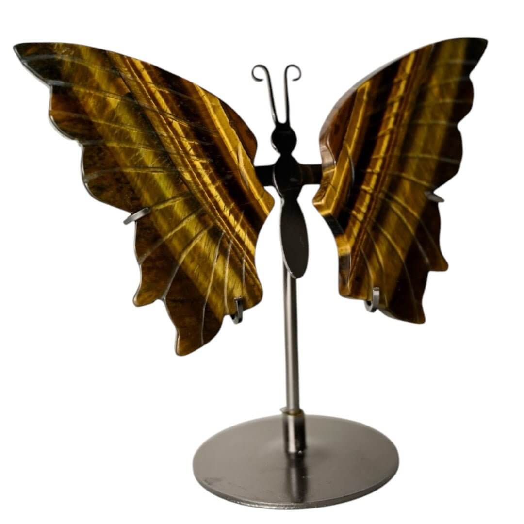 Wunderschöner Schmetterling mit Tigeraugen-Flügeln