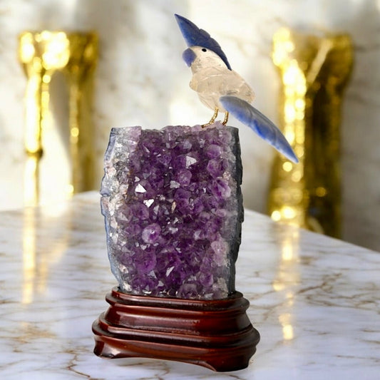 Amethyst Druse mit Bergkristall Vogel - CrystalScents