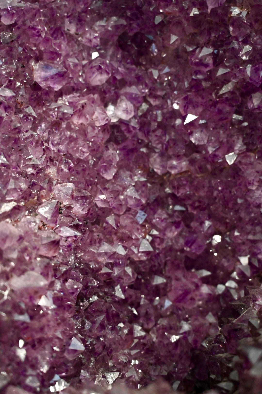 Riesige Amethystdruse - CrystalScents