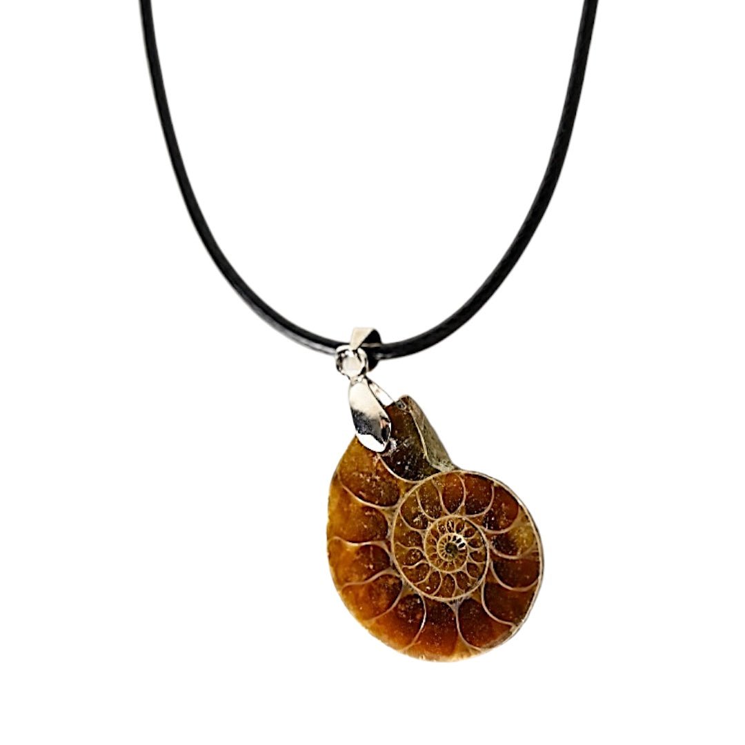 Schwarze Halskette mit Ammonit - Anhänger - CrystalScents