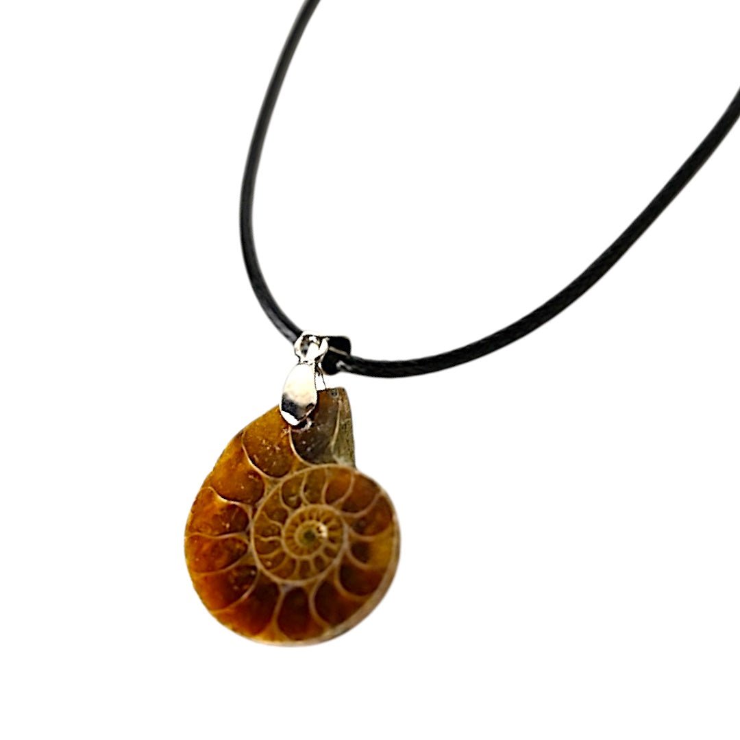 Schwarze Halskette mit Ammonit - Anhänger - CrystalScents