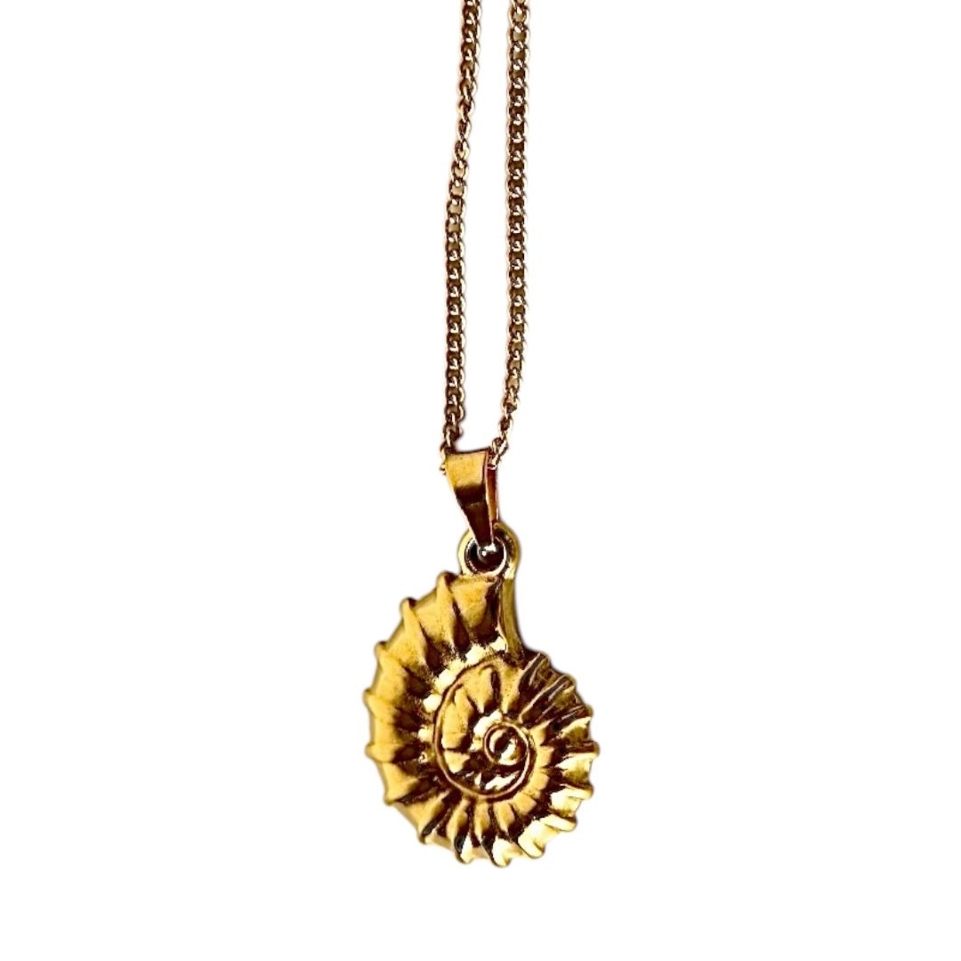Wunderschöne Goldkette mit Muschel Anhänger - CrystalScents